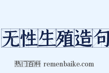 无性生殖造句是什么意思的图片